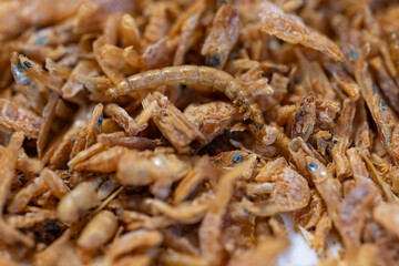 Dry food for larger fish and turtles in a detailed close‑up.