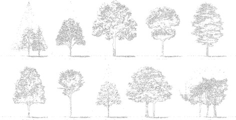 Obraz premium Ten different tree outlines with detailed foliage and trunks silhouette nature plant