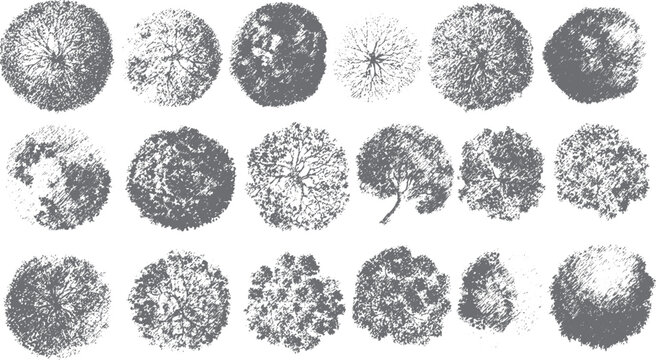 Collection of stylized grey tree tops viewed from above trees aerial foliage