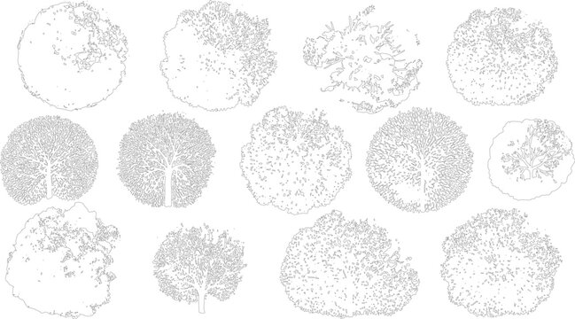 Collection of view tree outlines with varied foliage detail canopy