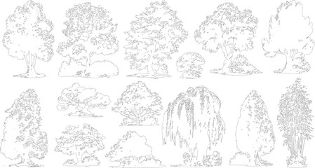 Obraz premium Collection of black and white line of various trees and bamboo plants nature foliage