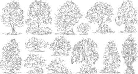 Obraz premium Collection of black and white line of various trees and bushes foliage