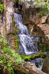 A small natural waterfall cascades over a rocky cliff surrounded by lush tropical plants and trees