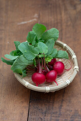 ラディッシュ, 野菜, 根菜, 赤い, 新鮮, 自給自足, 