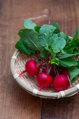 ラディッシュ、野菜、根菜、赤い、新鮮