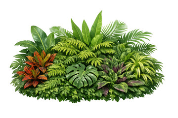 Obraz premium Lush tropical plant arrangement with diverse green and red foliage, creating a vibrant jungle garden background on transparent