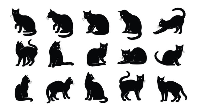 Collection of black cat silhouettes Vector