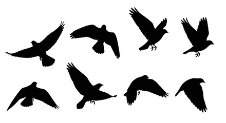 Obraz premium Group of Flying Birds Silhouettes.