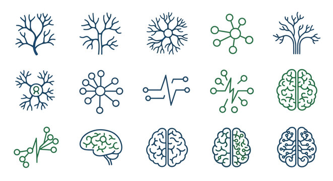 Brain Neuron Cells and Anatomy Illustrations.