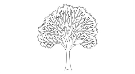 Detailed Outline Drawing of a Large Deciduous Tree.