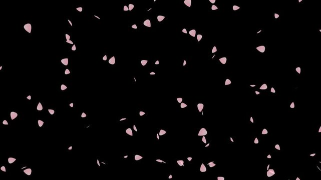 Anime character petals falling against night sky overlay, soft pink petal motif