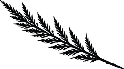Black silhouette of a delicate fern frond on a white background