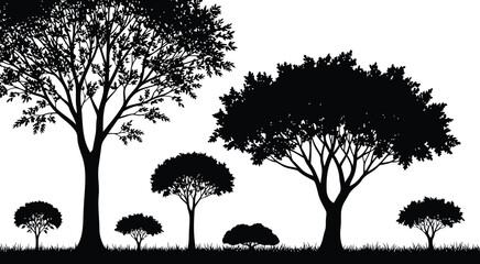 Fototapeta premium Silhouette of diverse trees at dusk minimalist black and white nature art