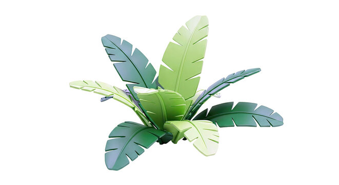 3D Rendering of a Green Banana Plant