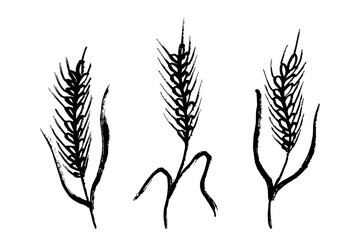 Set of hand drawn cereal wheat oat rye barley rice ears spikelet clipart Organic wheat bread agriculture farming harvest healthy food Single element for design print packaging label decor