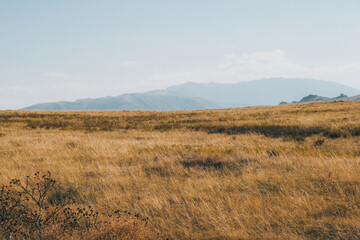 Fototapeta premium Film look landscape of Altay mountains at golden hour. Autumn steppe in East Kazakhstan with tonal perspective. Cinematic retro style, grainy texture, and warm nostalgic nature background.