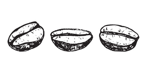 Fototapeta premium Set of hand drawn fresh roasted coffee bean Arabica robusta seed doodle Single element for design print packaging label decor
