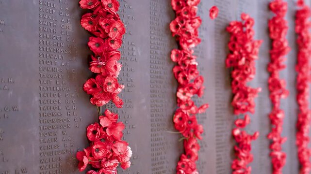Red Poppies Placed on the Roll of Honour at Australian War Memorial