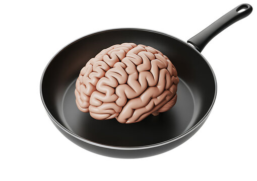 Brain In A Pan Conceptual Image Isolated