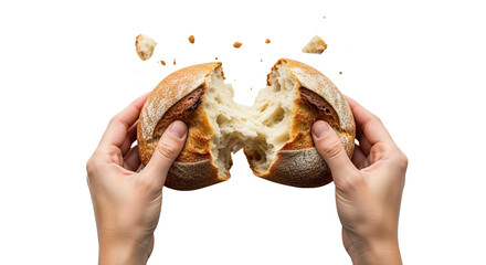 Hands Tearing Fresh Sourdough Bread on White