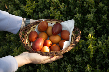 Hands hold a basket of beautifully painted Easter eggs against a lush green backdrop.