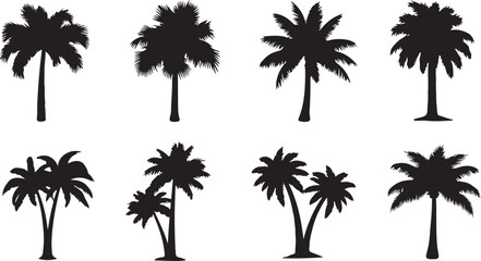 Obraz premium Palm Tree Silhouettes Collection for Tropical and Travel Themes Isolated on white background