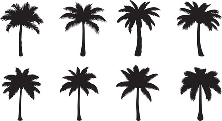 Naklejka premium Palm Tree Silhouettes Collection, Tropical Flora, Vector Graphics, Isolated on white background