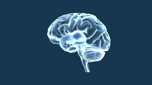 A glowing, translucent brain model, set against a dark blue background