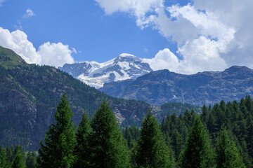 Obraz premium Mountain panorama with summit Breithorn and trees near Zermatt in Swiss Alps, canton of Valais, Switzerland