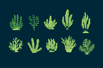 Trendy coral reef hand drawn colorful doodle style set . Vector underwater ocean plants icon. Aquarium algae, laminaria, kelp water life All elements are isolated, design illustration
