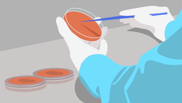 Vector Illustration of Scientist Hands Culturing Bacteria on Petri Dish in Laboratory