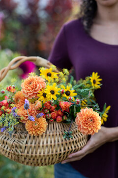 Woman holding fresh cut garden flowers