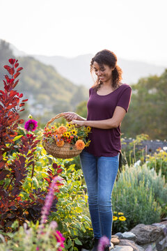Woman holding fresh cut garden flowers