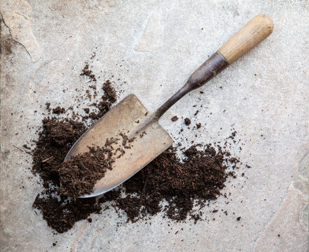 Detail of vintage hand trowel with fresh soil