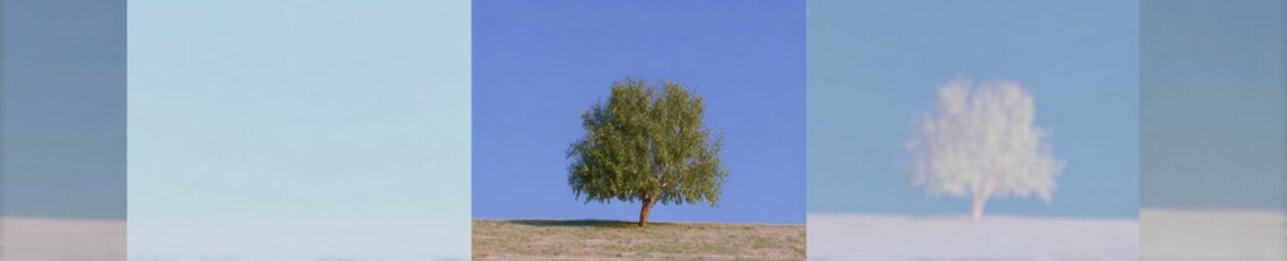 Medium Linden Tree Standing on a Grassy Hill Under a Clear Blue Sky for Landscape Architecture Mockup and Environmental Design Projects with Vast Copy Space