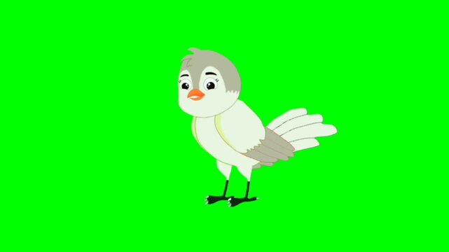 funny cartoon bird