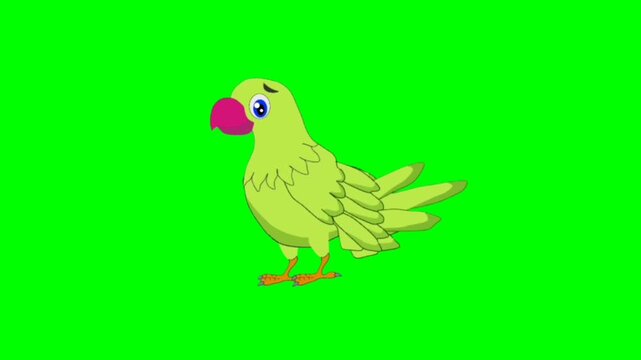 funny parrot standing character on green background