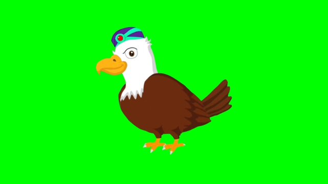 illustration of a eagle standing character with green screen video