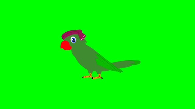 illustration of a parrot standing character with green screen video