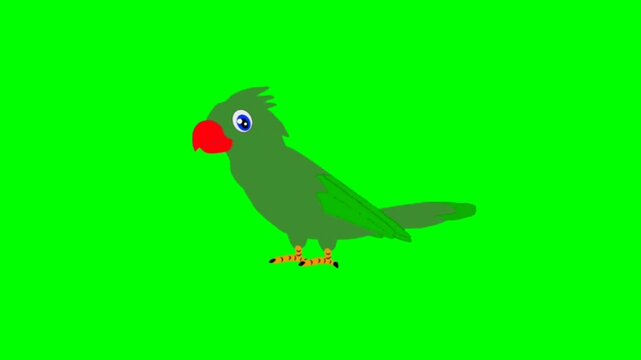 illustration of a parrot standing character with green screen video