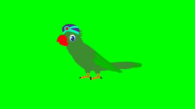illustration of a parrot standing character with green screen video
