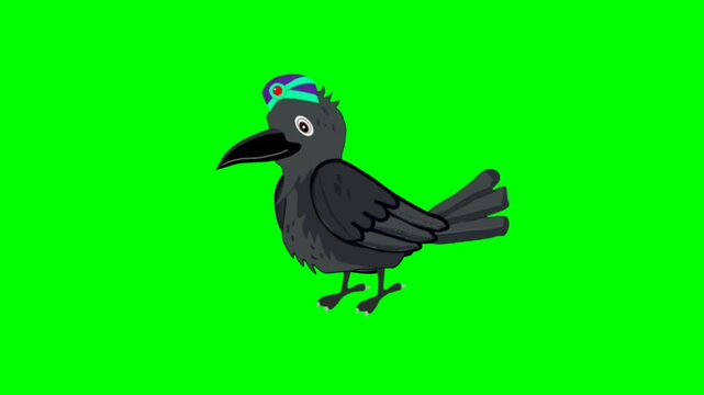 illustration of a crow standing character with green screen video