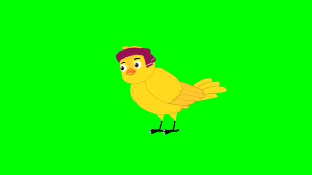 illustration of a bird standing character with green screen video