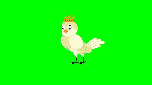 illustration of a bird standing character with green screen video