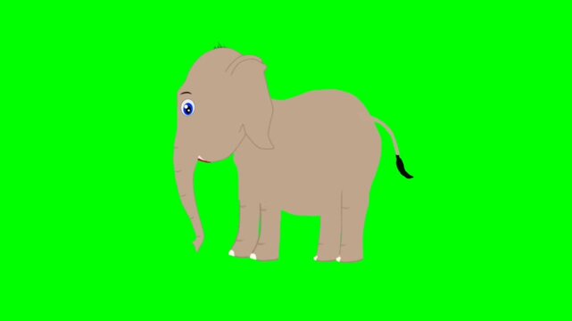 illustration of a elephant standing character with green screen video