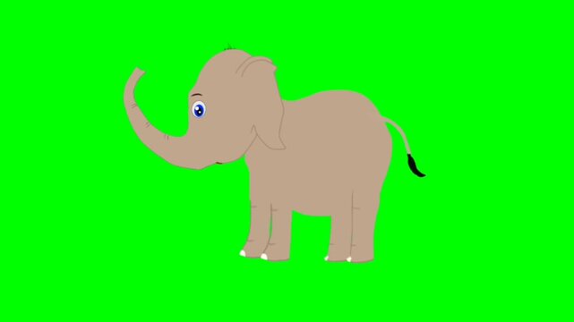 illustration of a elephant standing character with green screen video