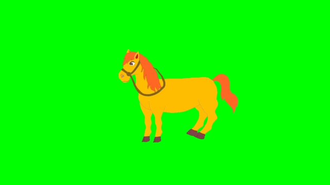 vector illustration of a horse