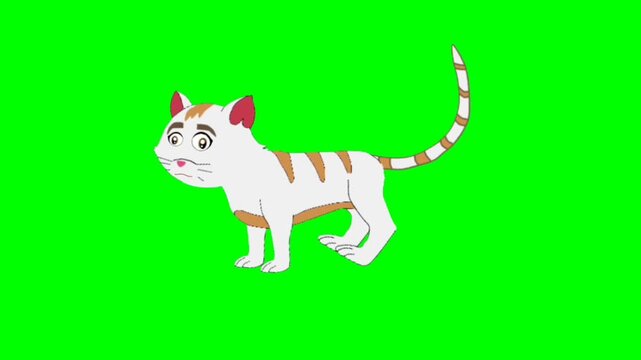 vector illustration of cartoon cat