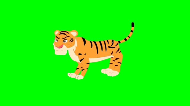 illustration of a tiger standing character with green screen video