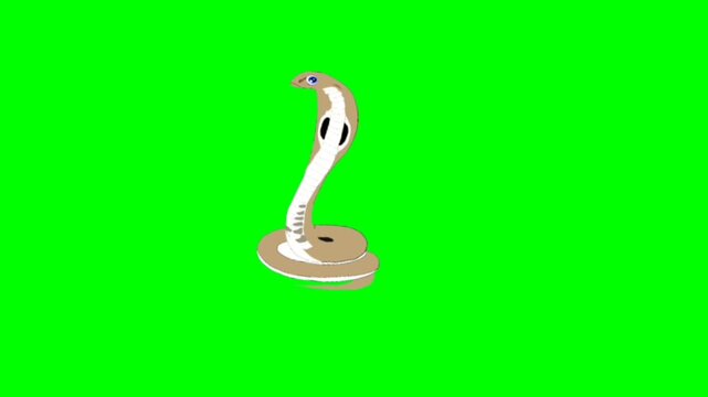 illustration of a snack standing character with green screen video